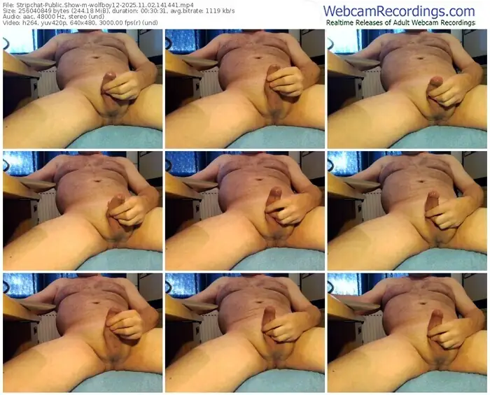 2025/11/02/stripchat-wolfboy12-14-14-41