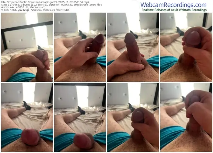 2025/11/02/stripchat-zamazingoo27-05-21-56