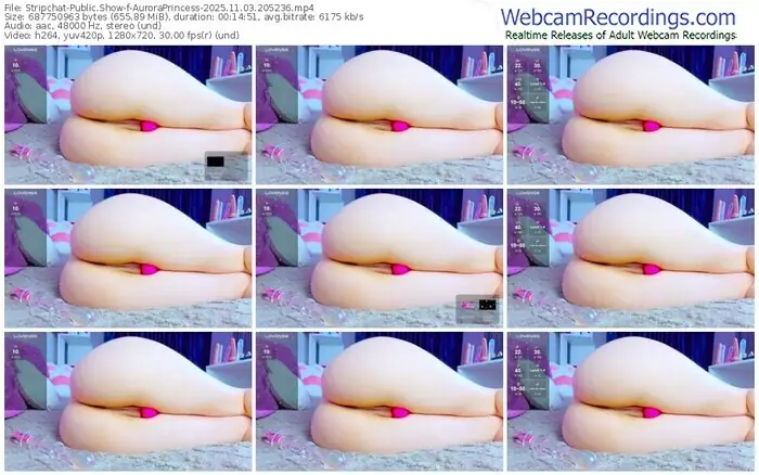 2025/11/03/stripchat-auroraprincess-20-52-36