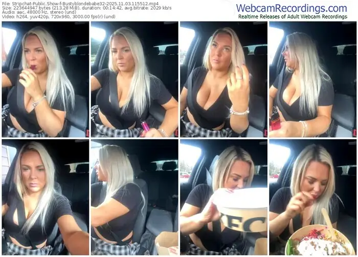 2025/11/03/stripchat-bustyblondebabe32-11-55-12