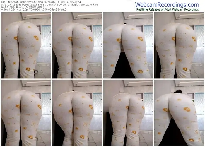 2025/11/03/stripchat-dalou3a-69-14-12-04