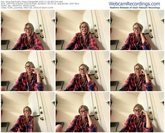 2025/11/03/stripchat-fargo488-06-57-24