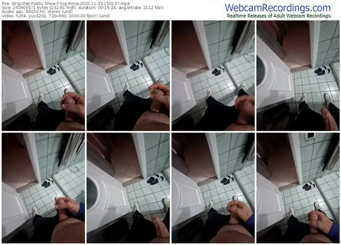 2025/11/03/stripchat-gig-anna-15-01-37
