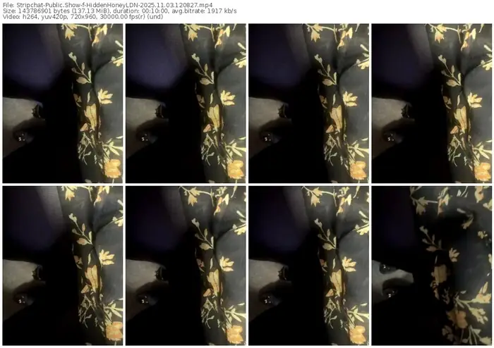 2025/11/03/stripchat-hiddenhoneyldn-12-08-27