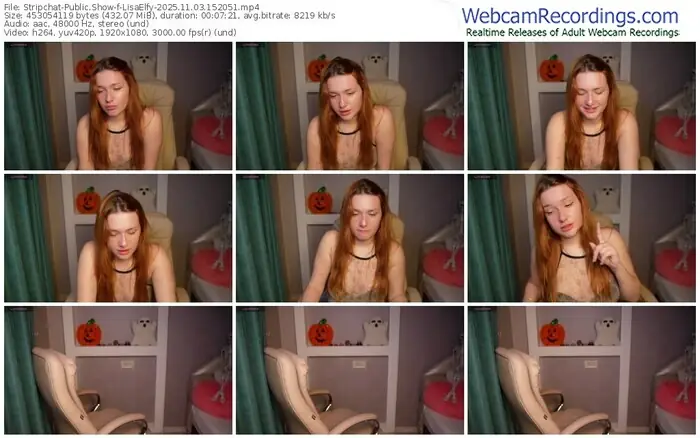 2025/11/03/stripchat-lisaelfy-15-20-51