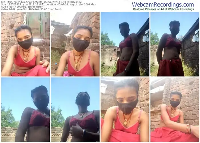 2025/11/03/stripchat-mehta_seema-06-28-04