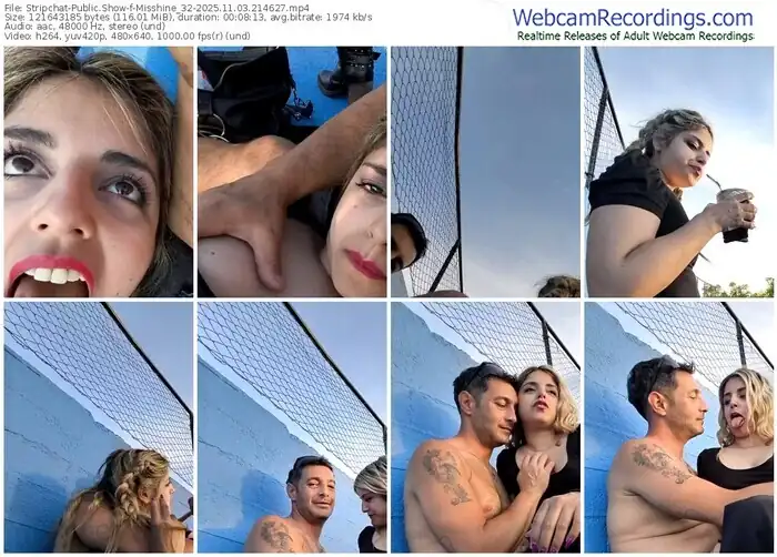 2025/11/03/stripchat-misshine_32-21-46-27