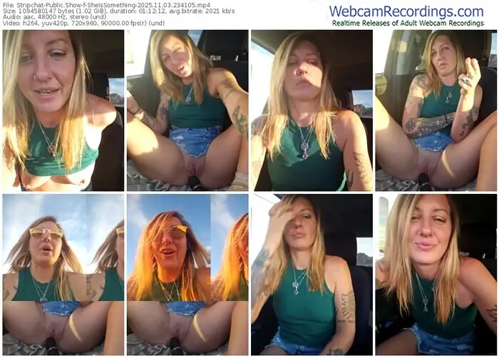 2025/11/03/stripchat-sheissomething-23-41-05