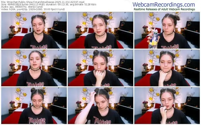 2025/11/03/stripchat-marshmallowee-16-23-37