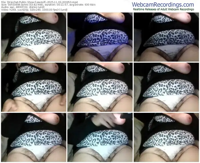 2025/11/03/stripchat-sexmilf--20-09-53
