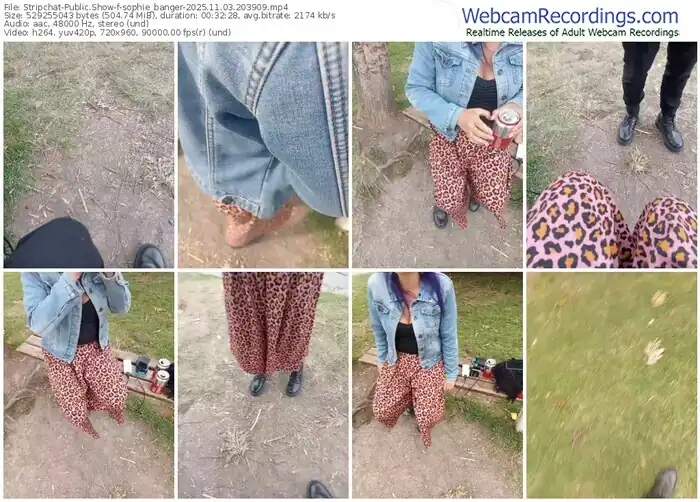 2025/11/03/stripchat-sophie_banger-20-39-09