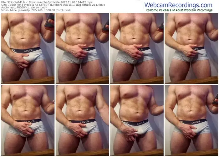 2025/11/03/stripchat-alphagymmale-11-44-12