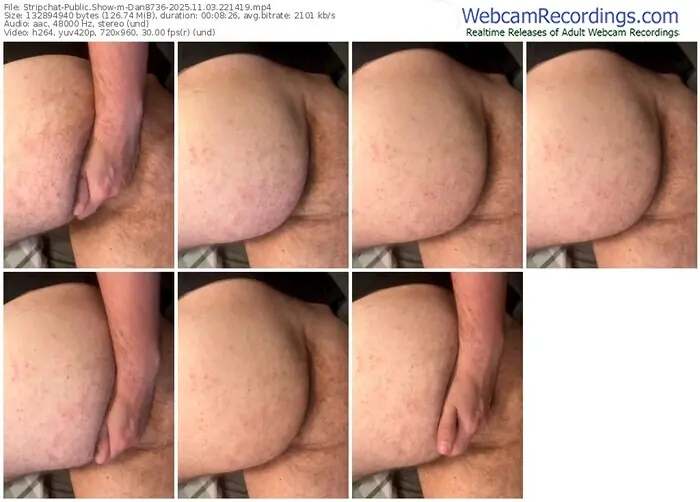 2025/11/03/stripchat-dan8736-22-14-19