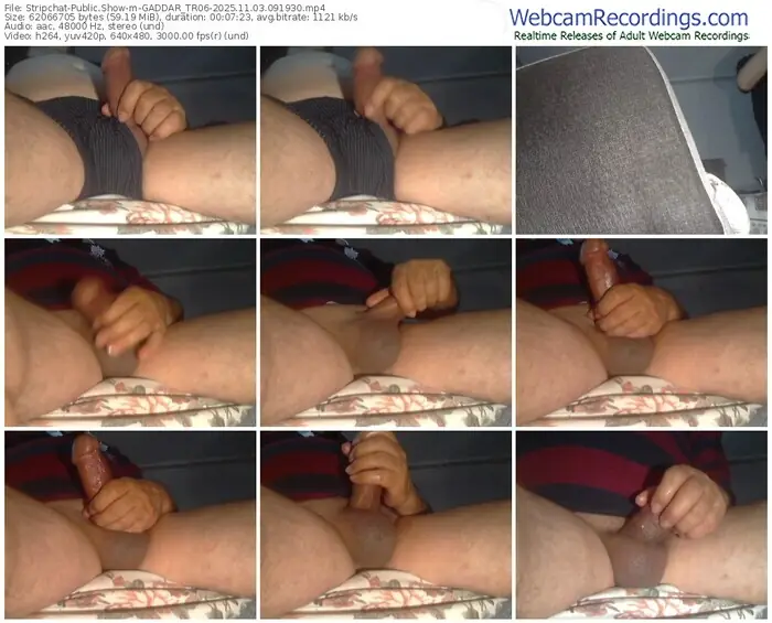 2025/11/03/stripchat-gaddar_tr06-09-19-30