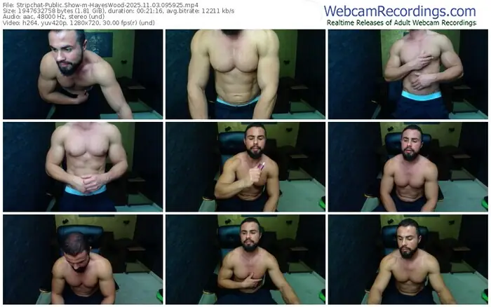 2025/11/03/stripchat-hayeswood-09-59-25