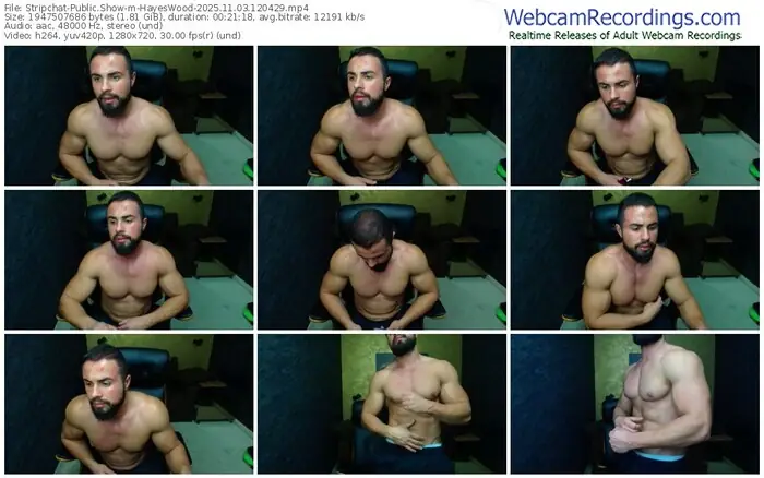 2025/11/03/stripchat-hayeswood-12-04-29