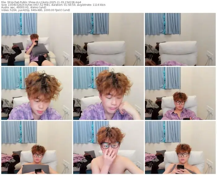 2025/11/03/stripchat-l1kuto-15-42-28