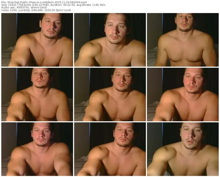 2025/11/03/stripchat-lionedwin-08-20-44