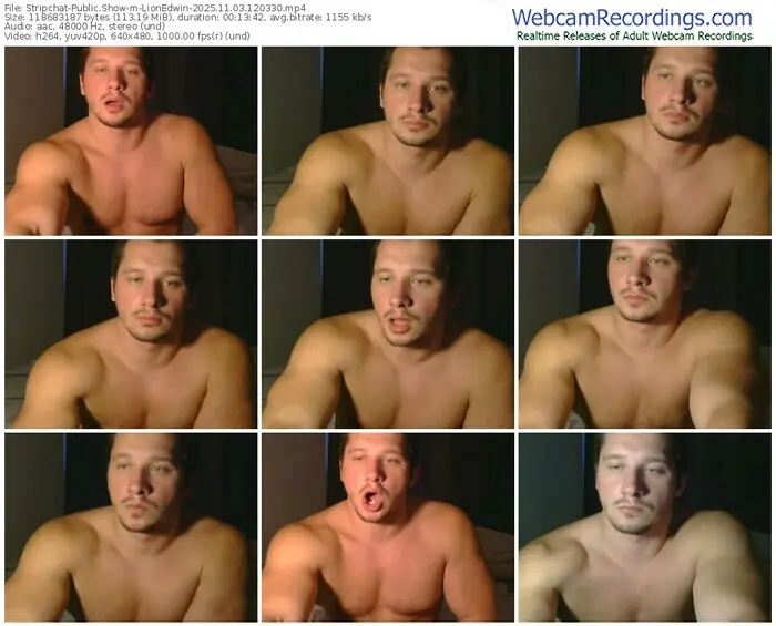 2025/11/03/stripchat-lionedwin-12-03-30