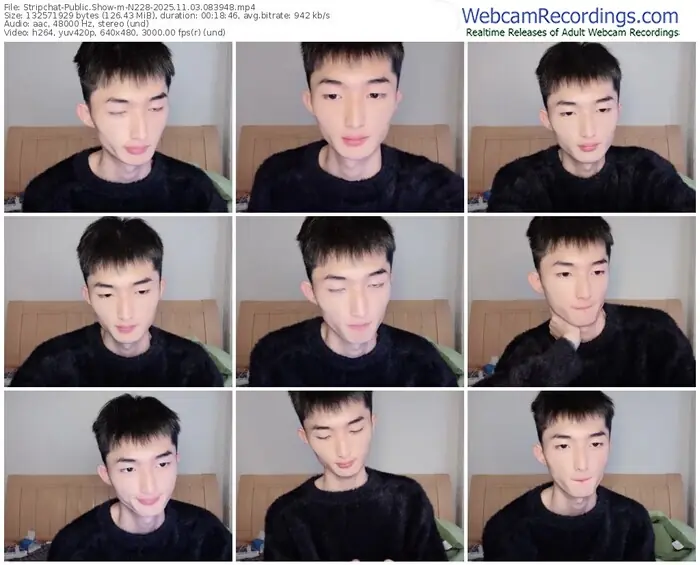 2025/11/03/stripchat-n228-08-39-48