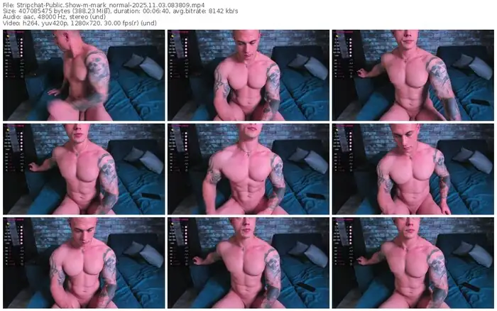 2025/11/03/stripchat-mark_normal-08-38-09