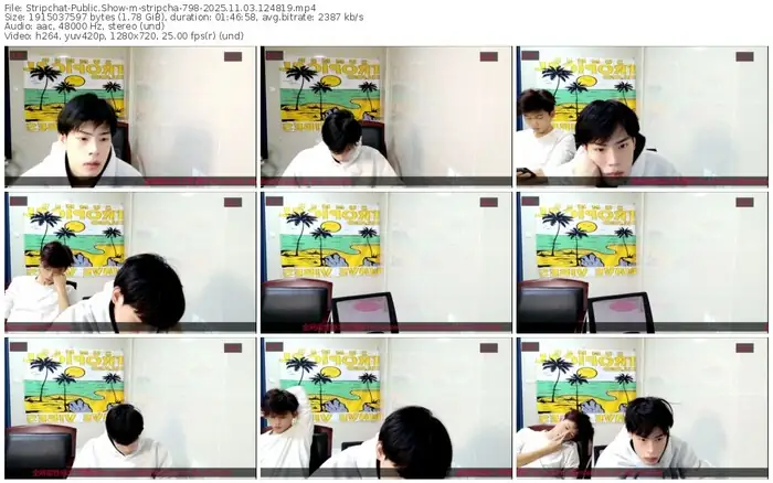 2025/11/03/stripchat-stripcha-798-12-48-19