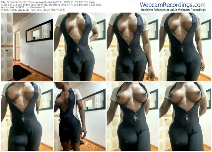 2025/11/03/stripchat-sweetsarabig22cm-13-51-01