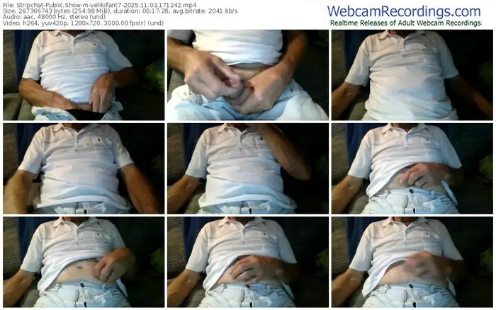 2025/11/03/stripchat-velikifant7-17-12-42