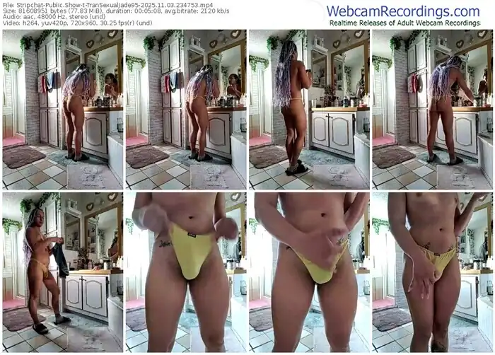 2025/11/03/stripchat-transexualjade95-23-47-53