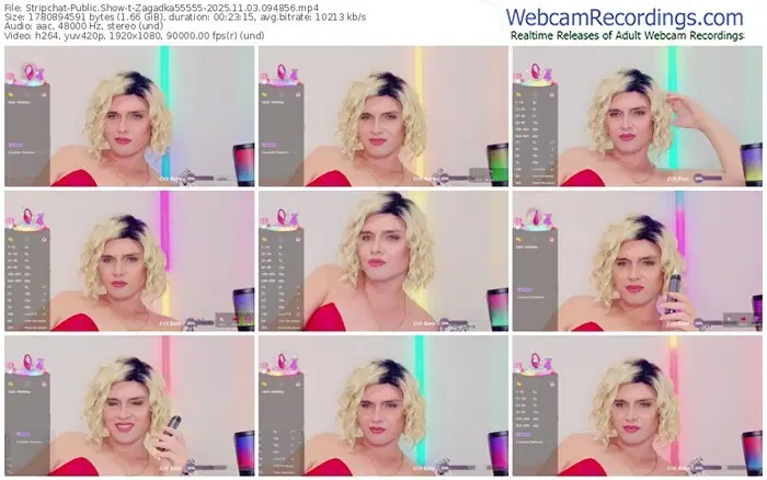 2025/11/03/stripchat-zagadka55555-09-48-56