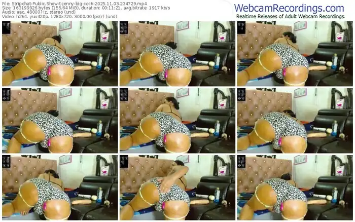 2025/11/03/stripchat-jenny-big-cock-23-47-29