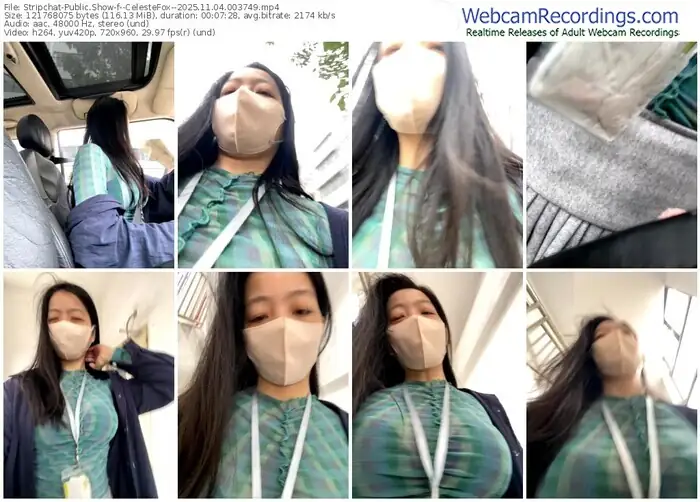 2025/11/04/stripchat--celestefox--00-37-49