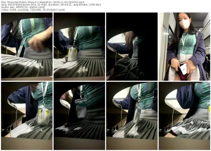 2025/11/04/stripchat--celestefox--02-50-32