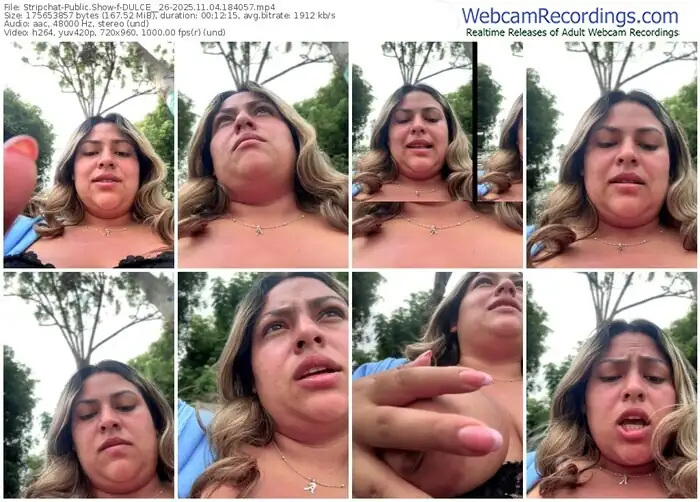 2025/11/04/stripchat-dulce__26-18-40-57