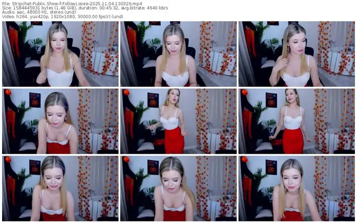 2025/11/04/stripchat-followlovee-13-03-29