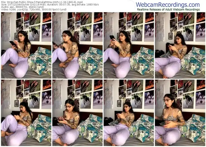 2025/11/04/stripchat-pamelaftmia-18-41-41