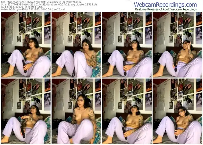 2025/11/04/stripchat-pamelaftmia-20-00-21