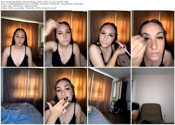 2025/11/04/stripchat-risky_work-11-32-06