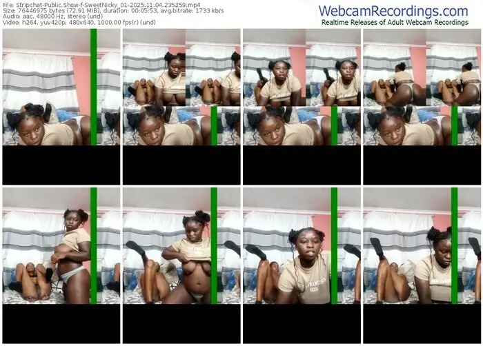 2025/11/04/stripchat-sweetnicky_01-23-52-59