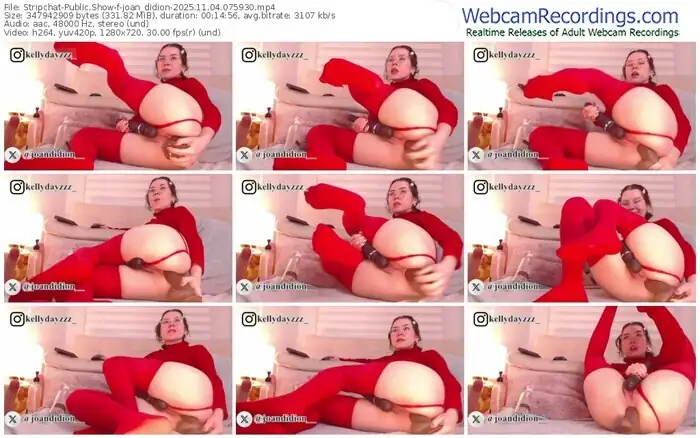 2025/11/04/stripchat-joan_didion-07-59-30