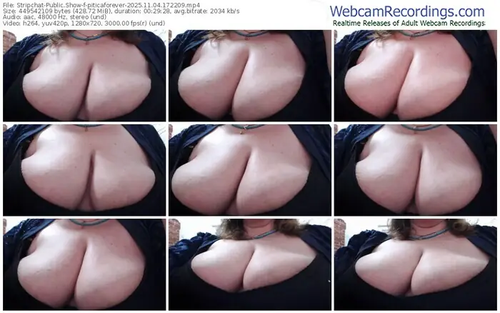 2025/11/04/stripchat-piticaforever-17-22-09