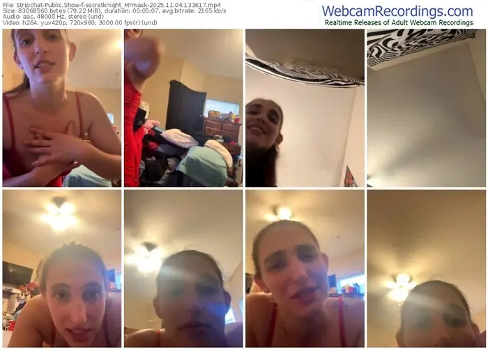 2025/11/04/stripchat-secretknight_mrmask-13-36-17