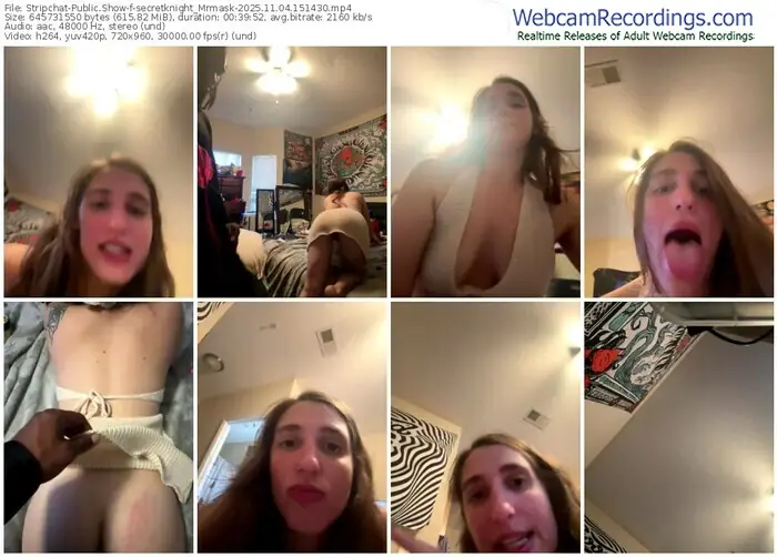 2025/11/04/stripchat-secretknight_mrmask-15-14-30