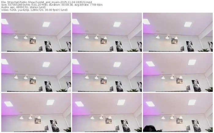 2025/11/04/stripchat-violet_and_myers-18-35-22