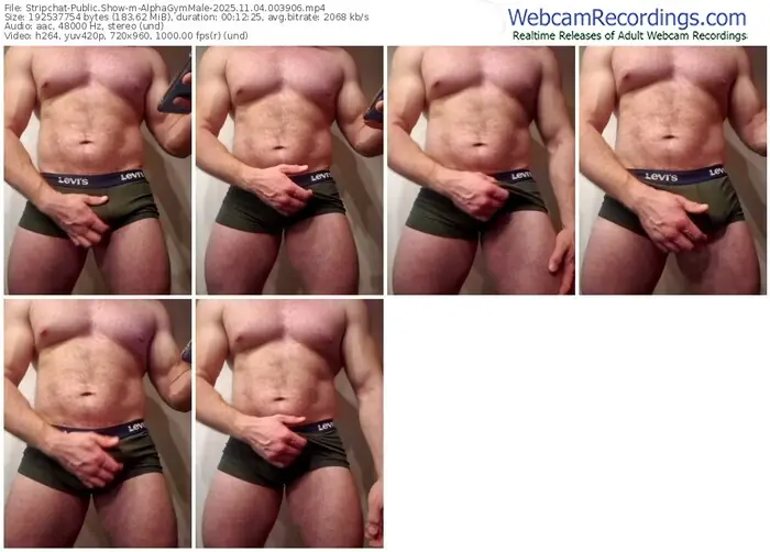 2025/11/04/stripchat-alphagymmale-00-39-06