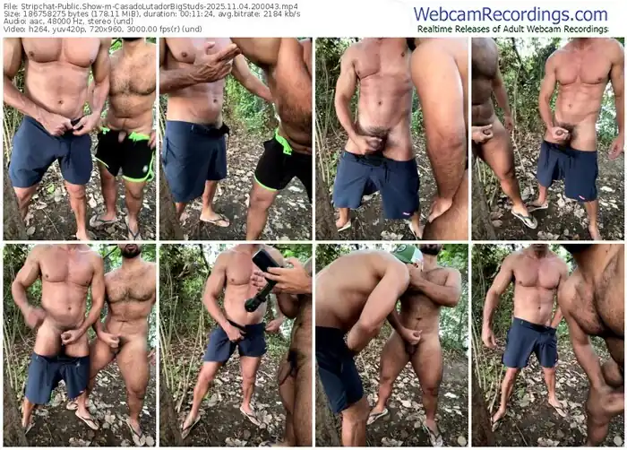 2025/11/04/stripchat-casadolutadorbigstuds-20-00-43