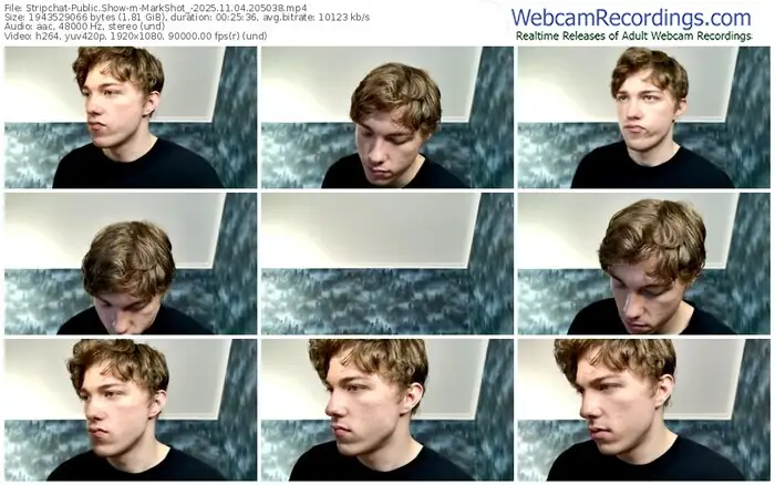 2025/11/04/stripchat-markshot_-20-50-38