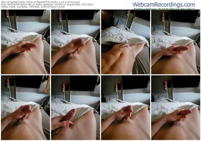 2025/11/04/stripchat-pajasmom-13-37-22