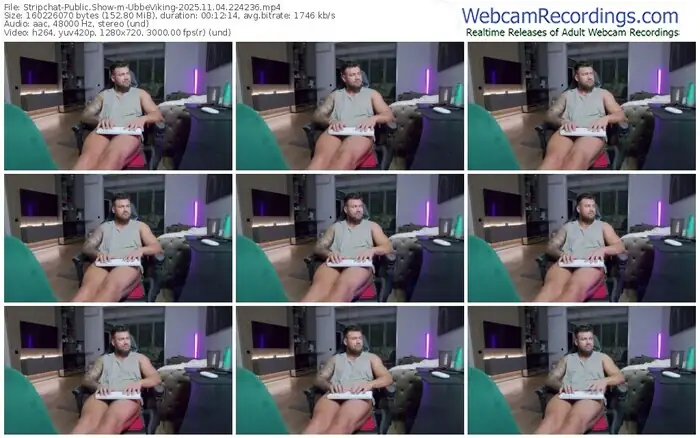 2025/11/04/stripchat-ubbeviking-22-42-36