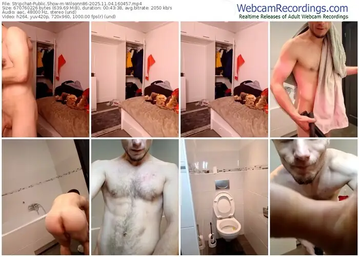 2025/11/04/stripchat-wilsonn86-16-04-57